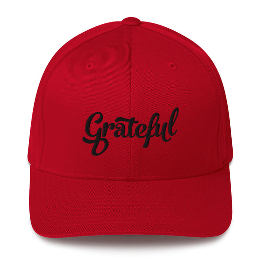 Grateful Fitted Hat (with Black)